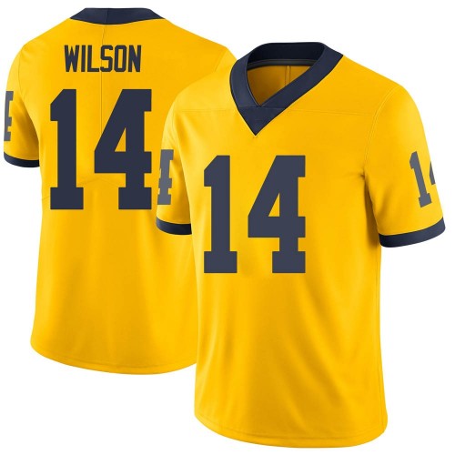 Roman Wilson Michigan Wolverines Youth NCAA #14 Maize Limited Brand Jordan College Stitched Football Jersey FUZ3554NI